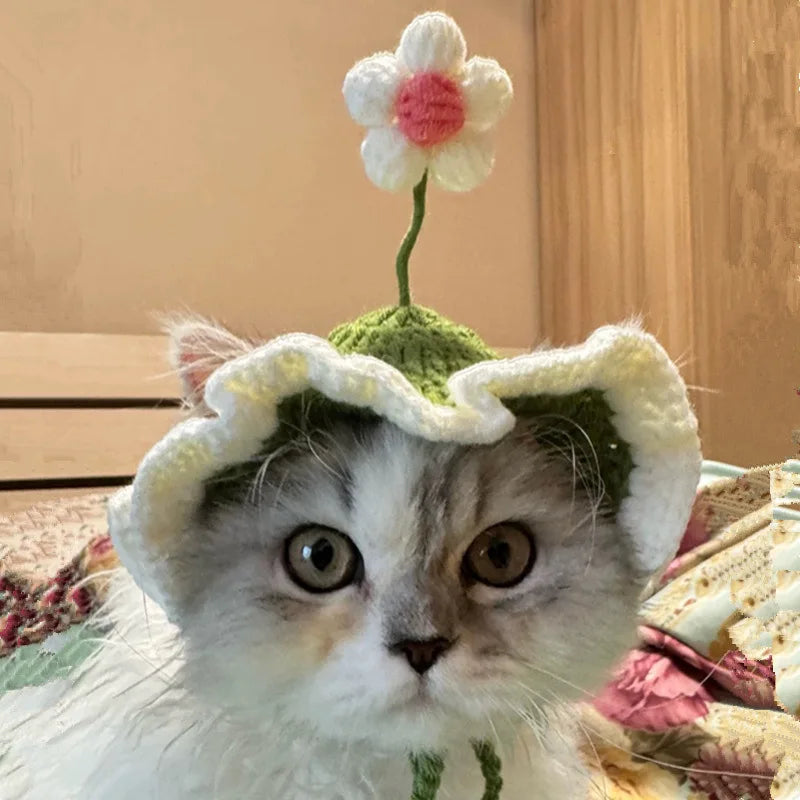 Chapeau fleur en crochet pour chat