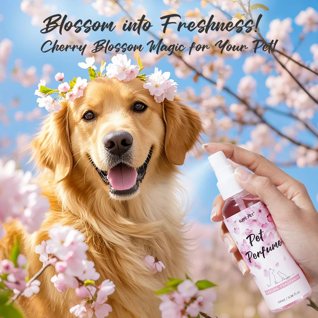 Parfum Sakura pour chien et chat