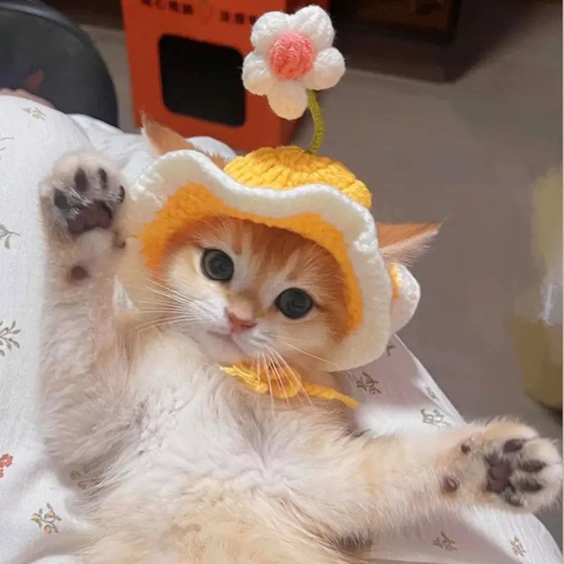 Chapeau fleur en crochet pour chat