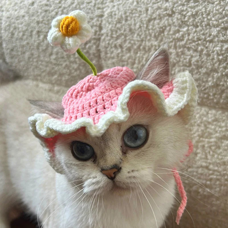 Chapeau fleur en crochet pour chat