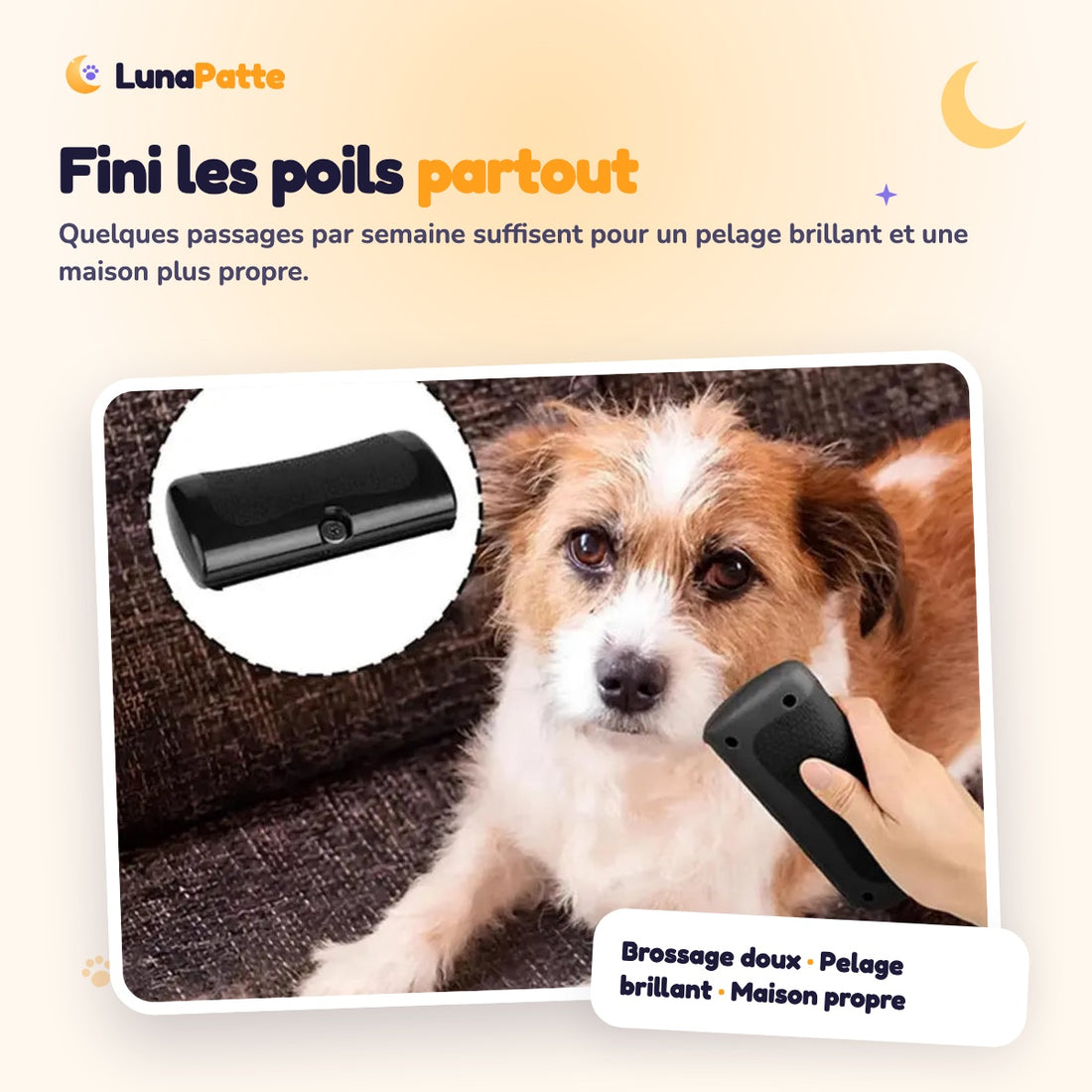 Chien brossé avec la brosse anti-mue Pro
