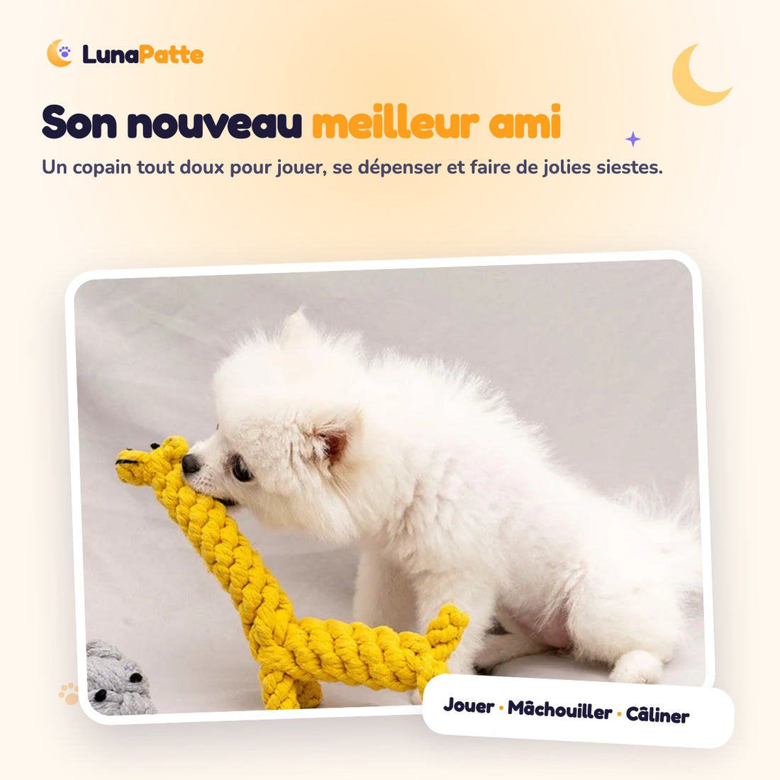 Petit chien qui joue avec la girafe en corde