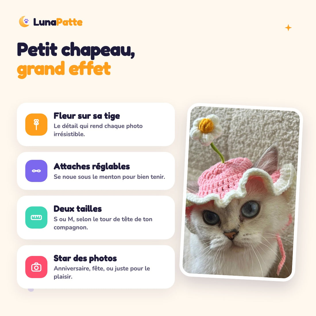 Chat portant le chapeau fleur rose