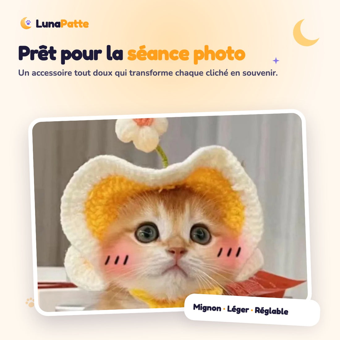 Chaton portant le chapeau fleur jaune pour une séance photo