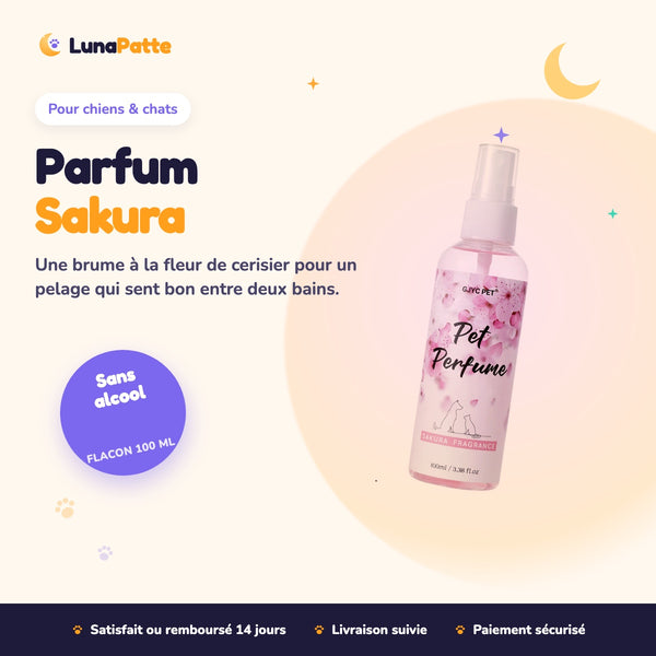 Parfum Sakura pour chien et chat