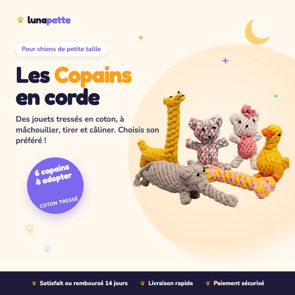 Jouet en corde « Les Copains »