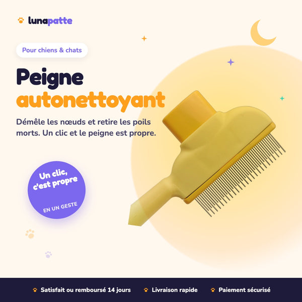 Peigne démêlant autonettoyant